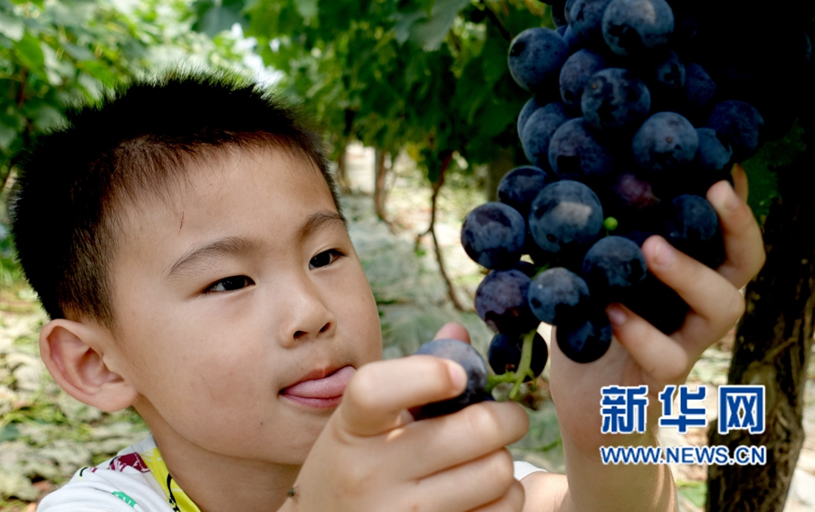 ��������:��������,�ο͘���