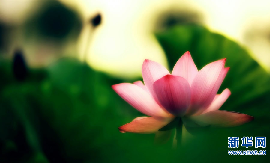 �����^������(d��ng)�r(sh��)