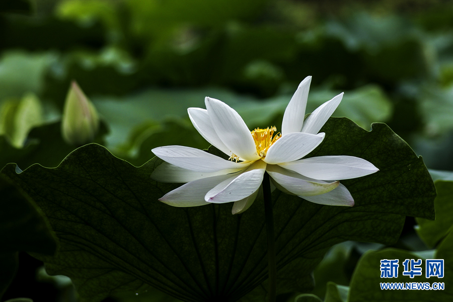 �����^������(d��ng)�r(sh��)