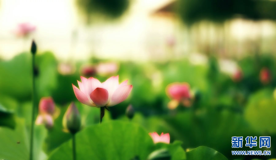 �����^������(d��ng)�r(sh��)