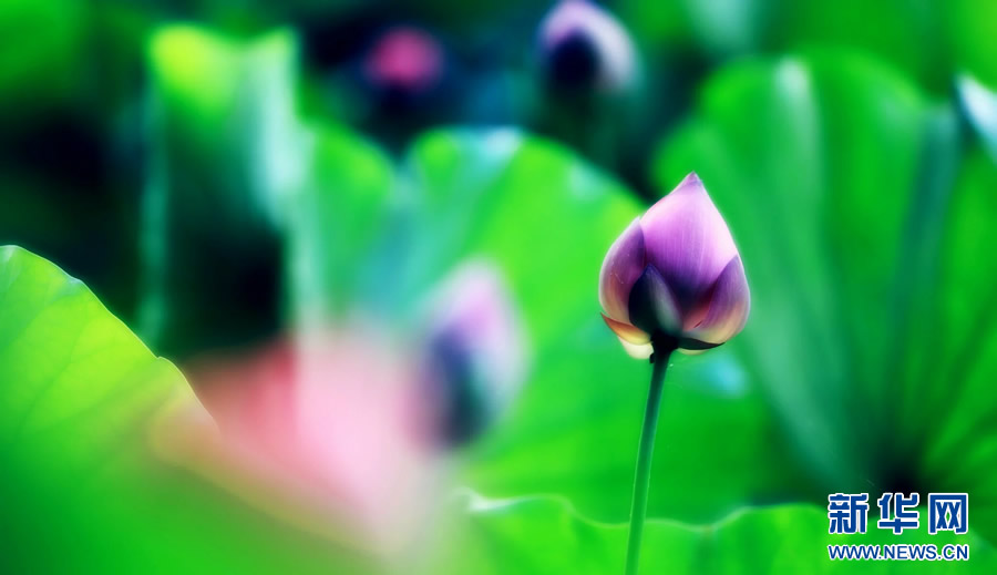 �����^������(d��ng)�r(sh��)