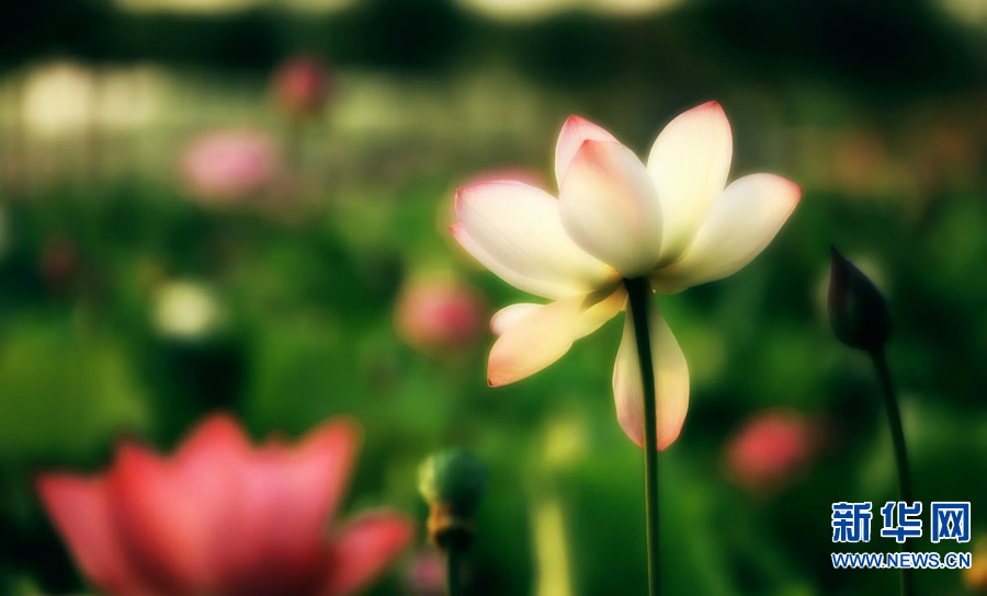 �����^������(d��ng)�r(sh��)