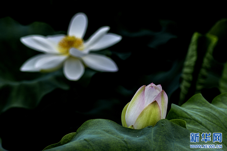 �����^������(d��ng)�r(sh��)