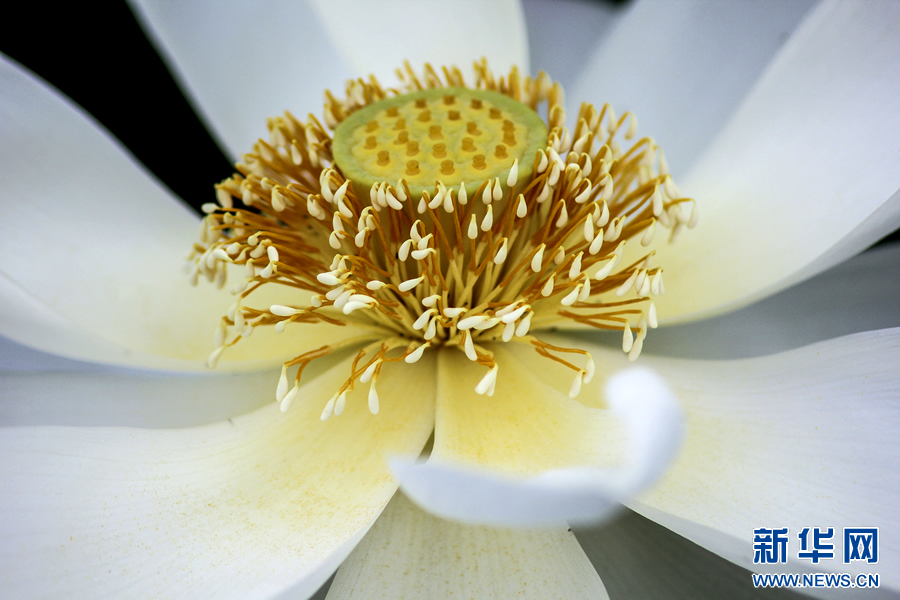 �����^������(d��ng)�r(sh��)