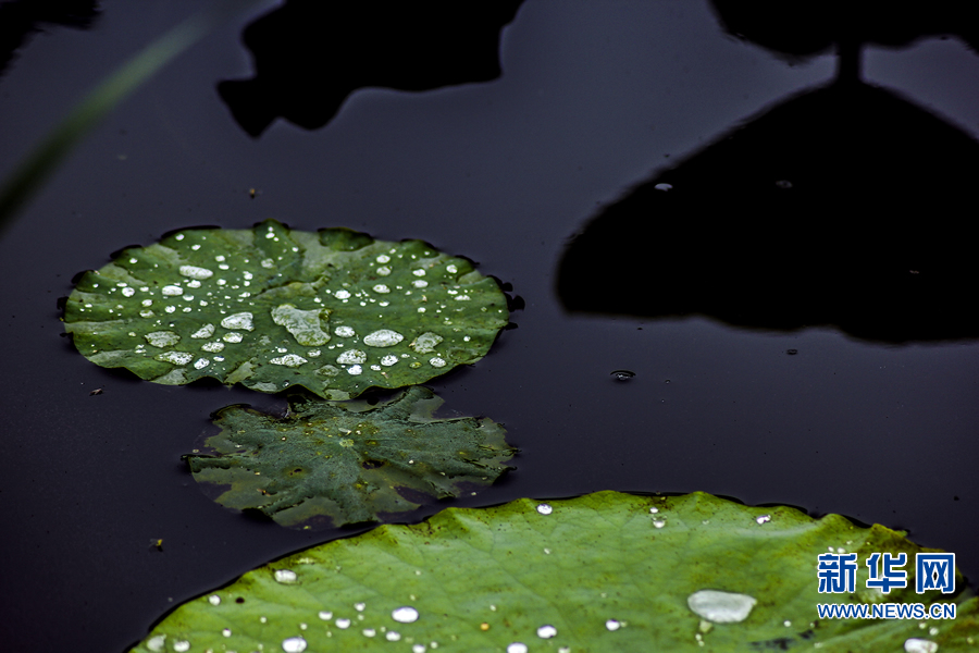 �����^������(d��ng)�r(sh��)