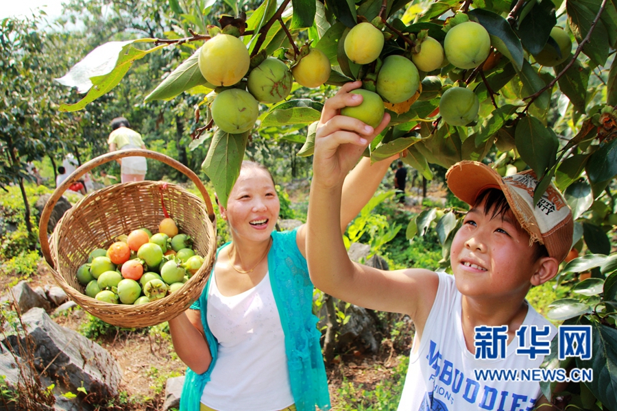 ���Ӵ��S��  �οͲ�ժ��(l��)