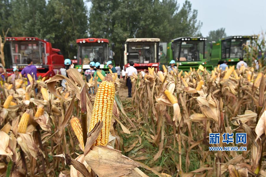 ���(y��ng):�����ո�������Õ�,���^�յ��^�u