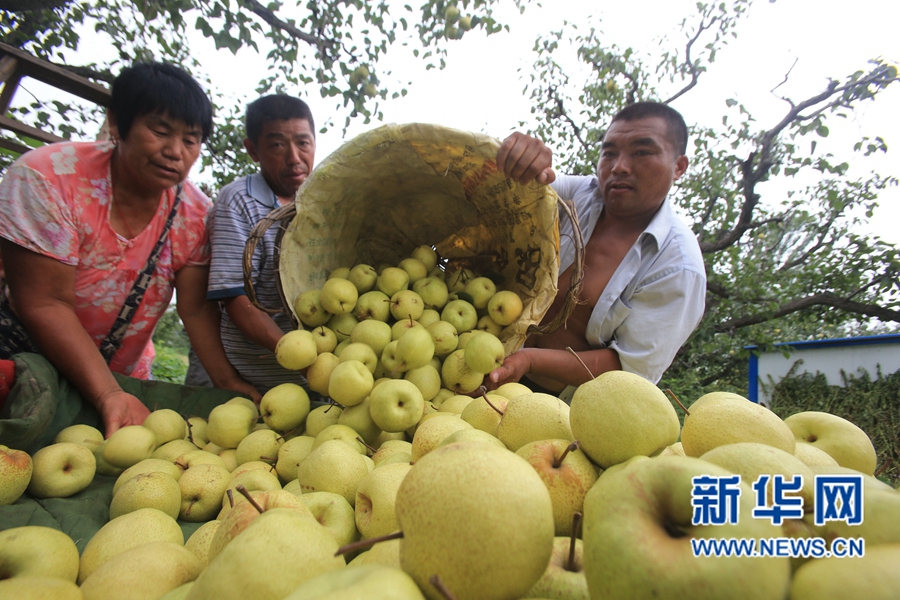 �����_��:����h����r(n��ng)Ц