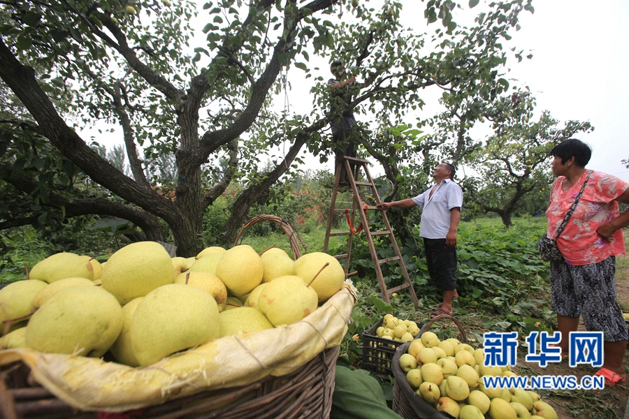 �����_��:����h����r(n��ng)Ц