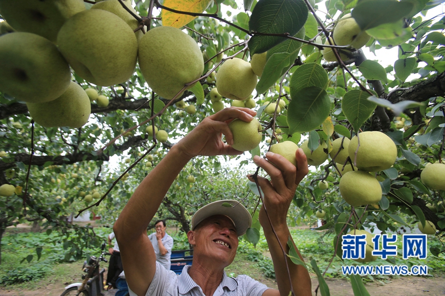 �����_��:����h����r(n��ng)Ц