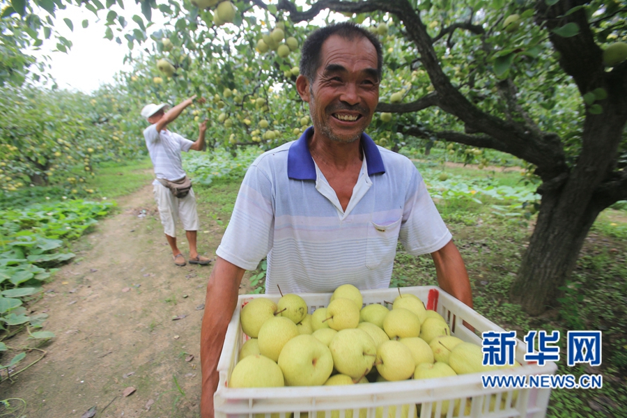 �����_��:����h����r(n��ng)Ц