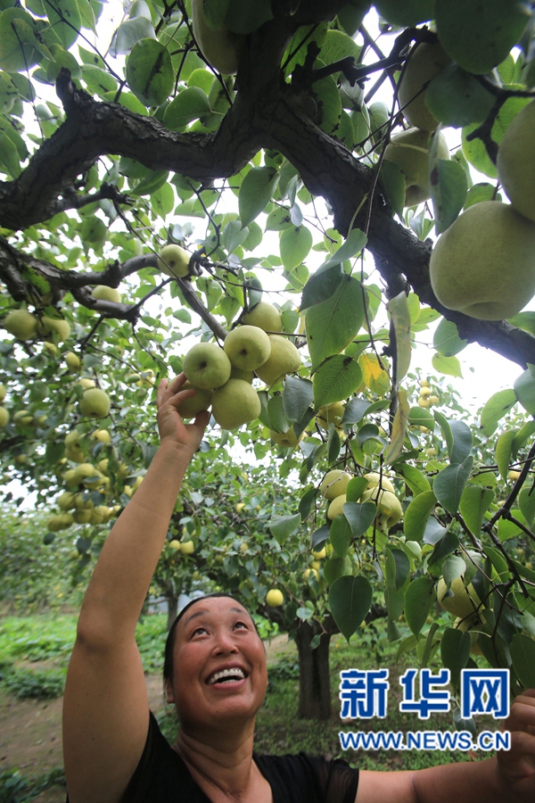 �����_��:����h����r(n��ng)Ц