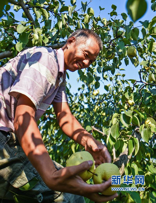 �����Ͻ�:���R��ؕ�桱