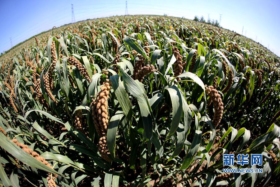 ��������:����r(sh��)��(ji��) �����h��