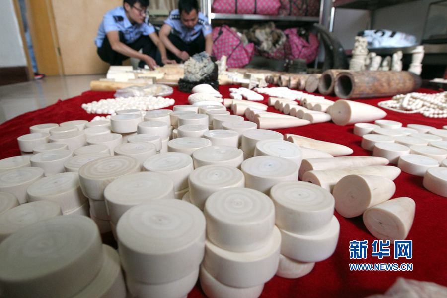 河南許昌查獲象牙制品207.4公斤 河南許昌查獲象牙制品207.4公斤