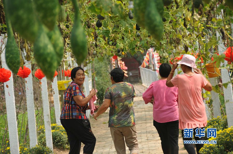 河南內(nèi)黃:棗鄉(xiāng)旅游助力精準(zhǔn)脫貧 河南內(nèi)黃:棗鄉(xiāng)旅游助力精準(zhǔn)脫貧