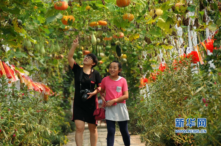 河南內(nèi)黃:棗鄉(xiāng)旅游助力精準(zhǔn)脫貧 河南內(nèi)黃:棗鄉(xiāng)旅游助力精準(zhǔn)脫貧