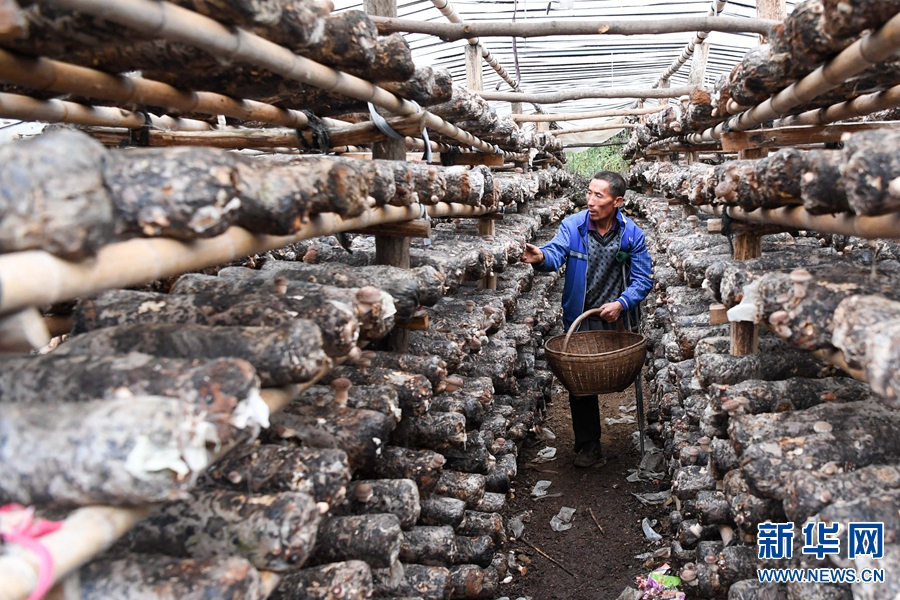 ɽ^(q)(d)r(nng)(sh)Nֲ㹽(dng)Óؚ¸