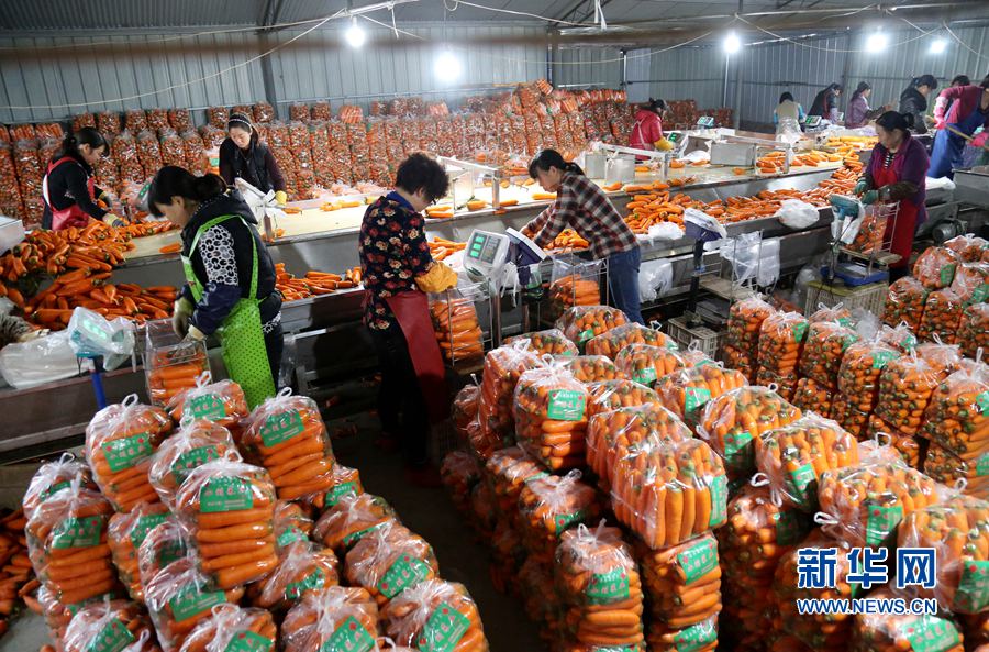 ���Ϝؿh:��t���}�����r(n��ng)��