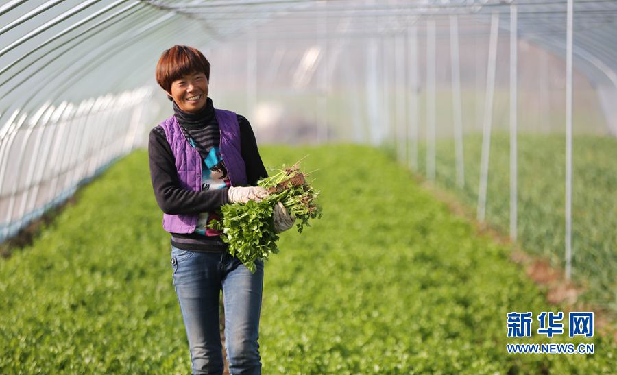 ��������:ؚ����(h��)���¸���(m��ng)