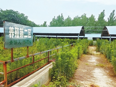 長(zhǎng)葛市榆林村扶貧項(xiàng)目半途而廢 養(yǎng)殖農(nóng)戶(hù)血本無(wú)歸