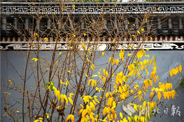 1226ںwԭﾰ^(q)ԭ(ni)ĔzϞ÷