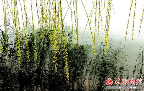 κµľGz{ڴL(fng)hʎԊM@Lɳ(bo)ȫýwӛܰƽ z