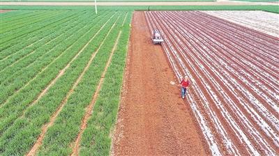 點擊進入下一頁