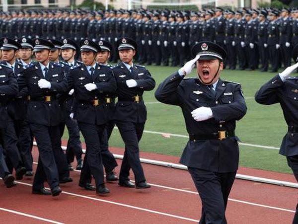 城管招聘本科生