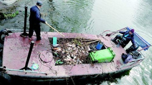 大明湖的生態(tài)遭破壞 每天百斤死魚多是放生魚