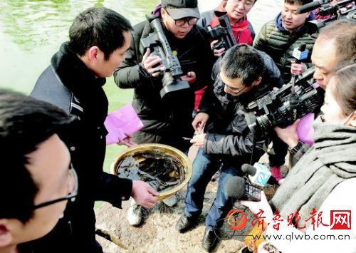 大明湖的生態(tài)遭破壞 每天百斤死魚多是放生魚