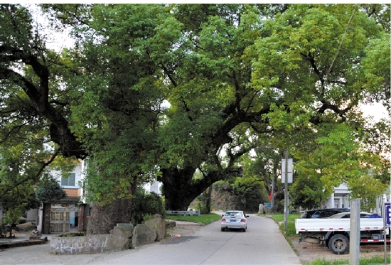  ��������@�ӵĹŘ�����Ҫ�߰˂��˲��ܭh(hu��n)����