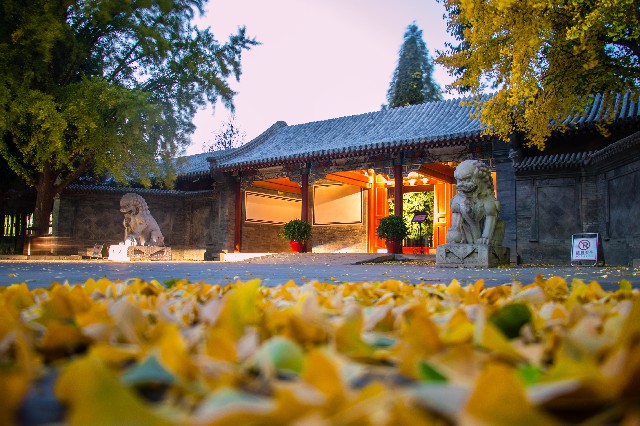 AW(xu)֏doká  zӰ/ο