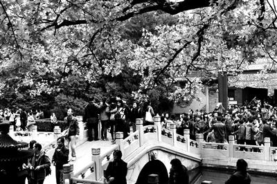 點擊進入下一頁