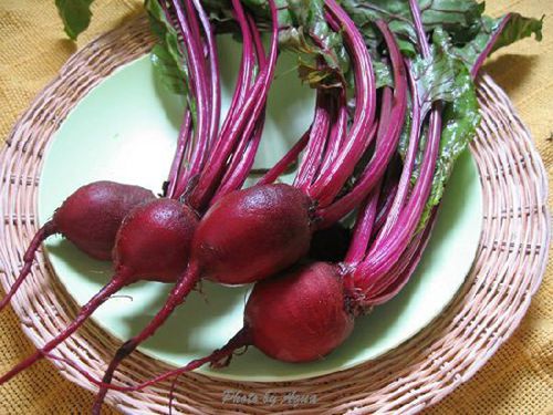 X׽ˣ@15NȻʳa(b)X