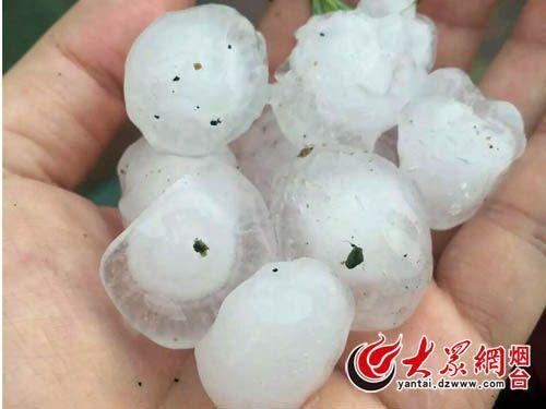 山東煙臺市區(qū)突降冰雹 最大個(gè)頭堪比鴿子蛋