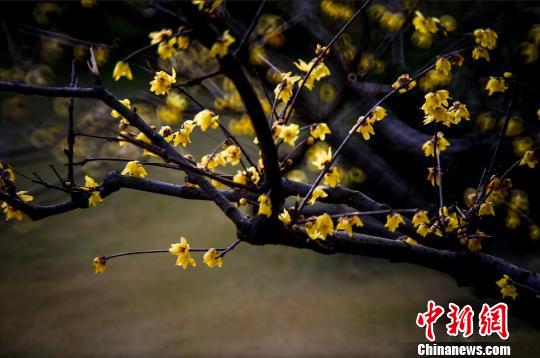 ϾɽL(fng)^(q)(ni)Ϟ÷÷p÷Gա÷ z