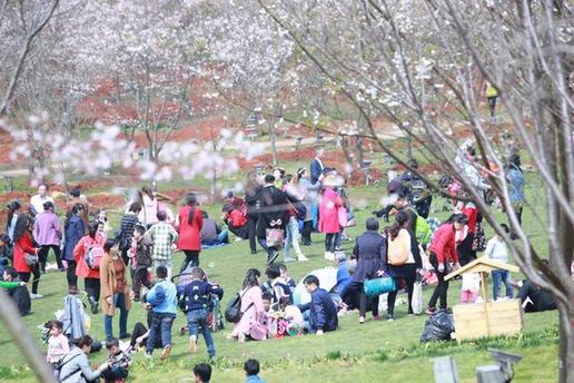 【萬(wàn)人春游踏青鳳凰溝 千名漫迷扮靚景區(qū)}】