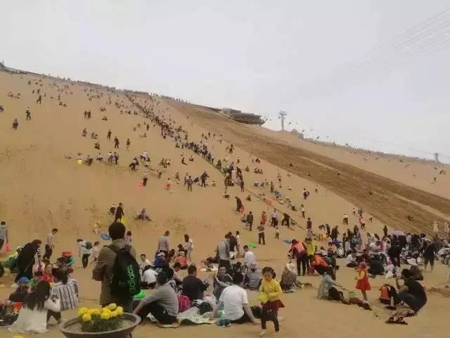 沙坡頭景區(qū)熱鬧非凡
