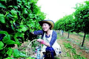 ժ@(ni)x߸ܵ˲ժĘȤ