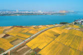 1(央廣網(wǎng)發(fā)鄧和平攝).jpg