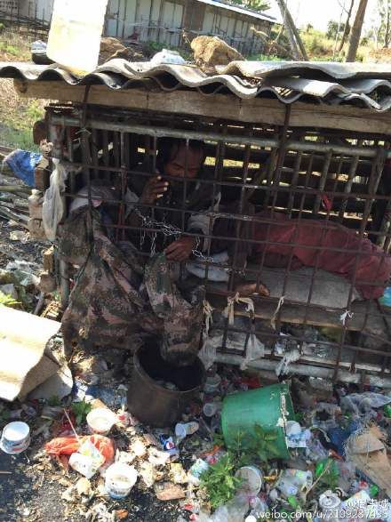 �W(w��ng)��΢���؈D