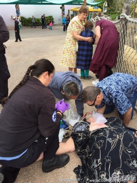 中國(guó)游客在美國(guó)救倒地游客 公園邀其單獨(dú)看表演