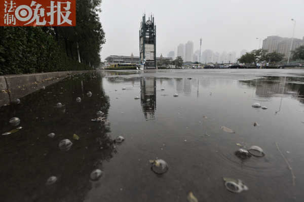 #Ӎ#(ӛ zӰ)ˮĭĆ}֮ǰýwQЌұʾLrg·ضȺܸ֮Ͼ͕Кw͕Кĭ䌍BƬ؄e(x)Ěһͣ͛]ˡȻ^ӛp܉KcվһKδ܇뉺^ķeˮпÿ(dng)ˮΏϷľ۵eˮr͕S̖Ěݣֱ2-3 Һܲ©ƺˮ|(zh)һճͬrӛĔzƬrһЩˮմƤзNĸX