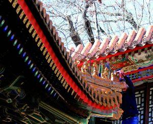 l(f)F(xin)U͈@Ƶݼ߅̎һTPˡȱʧ˵ؾoɽοֿ|ɘ(gu)Iӛ̽LйˆTڬF(xin)(chng)ޏ(f)U͈@̎Q(chng)ȱʧ(gu)(f)Ƙ(gu)L(fng)gL(fng)ο͓ʰԭȻ(k)