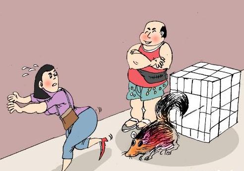 溫州夫婦販賣野生動物被起訴 案值上億元流向高檔會所餐桌