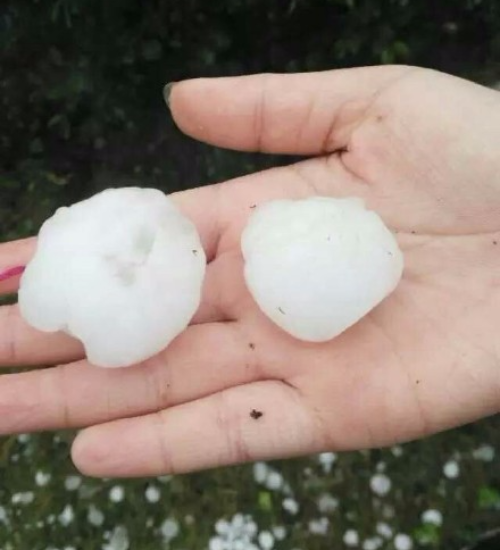 �Ϸ���ʡ�^(q��)�󵽱��� ���ڙC������e���`(�D)