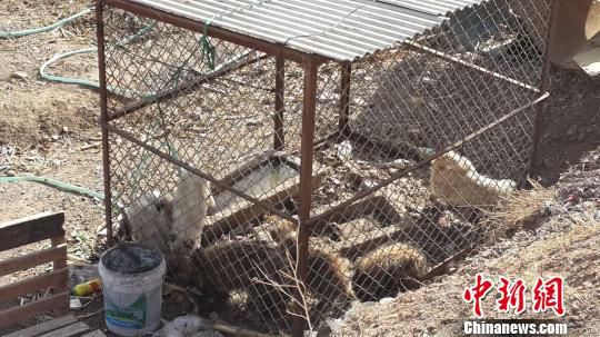 D鱱ᜫӿڴץصĲַǺ z