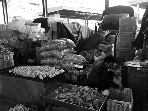 ӛ���{(di��o)��