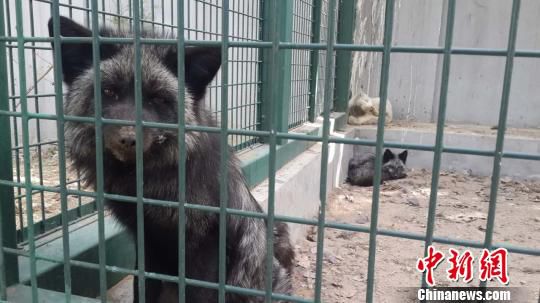 ֫@ȵķ(dng)ڱҰ(dng)o(h)Ľܿ(f)B(yng)ĿǰѱͻԭB(yng)ֳ(chng)Dڸx\ĺ؂Ǻ z